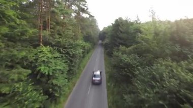 Smooth fast flight close to branches of trees along the road that the car is driving on. POV filmed with FPV drone.