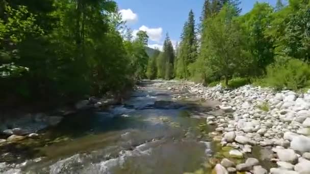 Aerial View Mountain Brook River Flowing Green Valley Beautiful Mountains — Vídeo de stock