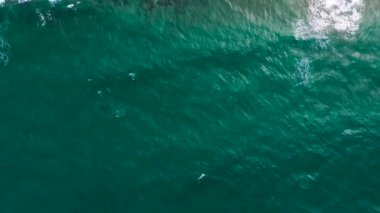 Deniz dalgaları kumlu sahil şeridinde dalgalanırken hiç bitmeyen güzel ve kusursuz görüntülerin drone görüntüsü. Akdeniz kıyısının en üst manzarası, dalgalar ıssız kumsala ulaşıyor. Güzel