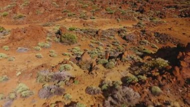 Teide Ulusal Parkı 'ndaki katı lav ve seyrek bitki örtüsünün havadan görünüşü. Tenerife, Kanarya Adaları, İspanya