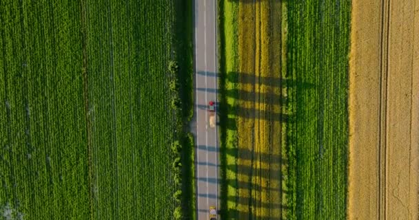 Top View Road Cars Driving Sunset Sides Road Fields Harvest — 비디오