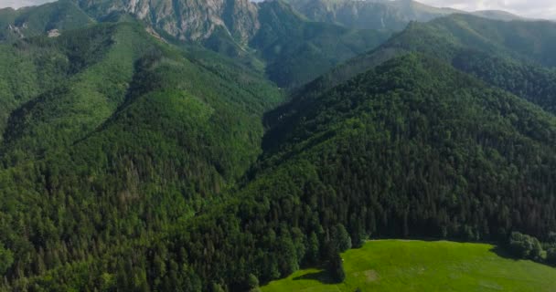 Aerial View Beautiful Mountain Landscape Summer Forest Rocks Zakopane Tatra — Vídeos de Stock