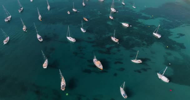 Camera Moves Circle Boats Anchored Coast Clear Sea Waters — Stockvideo