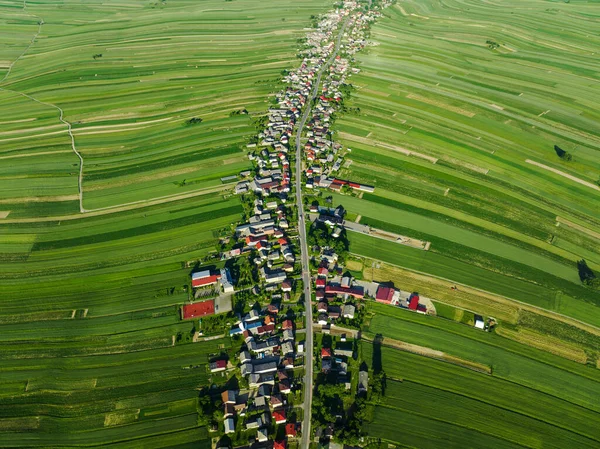 Aerial View Decorative Ornaments Diverse Green Fields Houses Arranged Line — Stockfoto