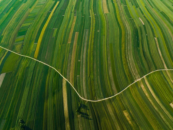 Aerial View Decorative Ornaments Diverse Green Fields Picturesque Landscape Agriculture — Stok Foto