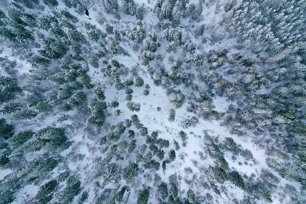 Pemandangan Musim Dingin Yang Indah Dengan Pepohonan Hari Yang Cerah — Stok Foto
