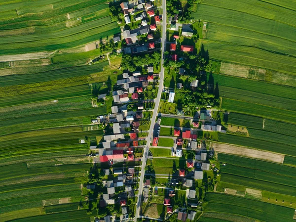Aerial View Decorative Ornaments Diverse Green Fields Houses Arranged Line Royaltyfria Stockfoton
