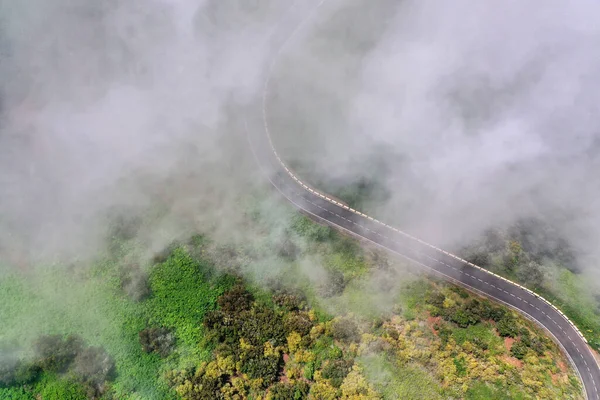 Top View Clouds Empty Mountain Road Surrounded Green Vegetation Tenerife 스톡 사진