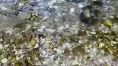 Surface of a mountain creek with crystal clear mountain water, stones at the bottom. Summer coolness