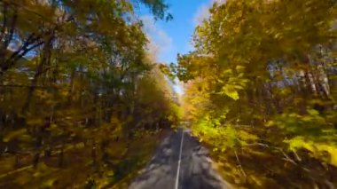 Yol boyunca ağaçların dallarına doğru yumuşak bir uçuş. Günbatımında resmedilmeye değer sonbahar havası. POV FPV insansız hava aracı ile filme alındı.