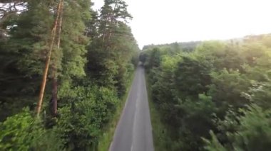 Smooth fast flight close to branches of trees along the road that the car is driving on. POV filmed with FPV drone.