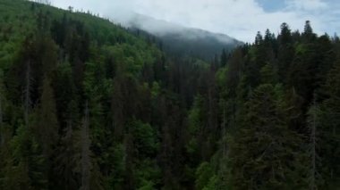 Aerial view of a summer rocky mountain landscape. Flying through the clouds, close to the mountains. High Tatras, Slovakia