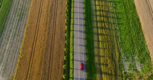 Top View Road Red Car Driving Sunset Sides Road Fields — Video