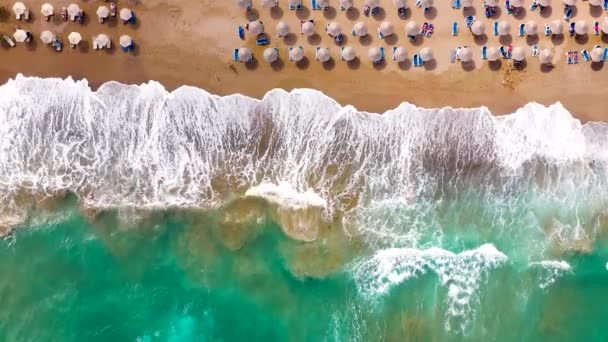 Top View Sea Sandy Beach Sun Umbrellas Sunbeds Unrecognizable People — Wideo stockowe