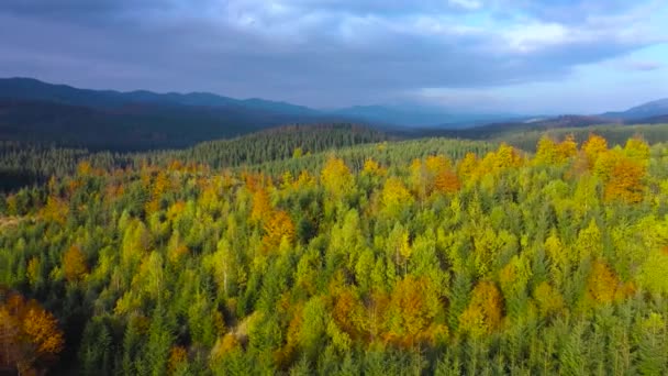 Aerial View Bright Autumn Forest Slopes Mountains Dawn Colorful Panorama — Vídeos de Stock