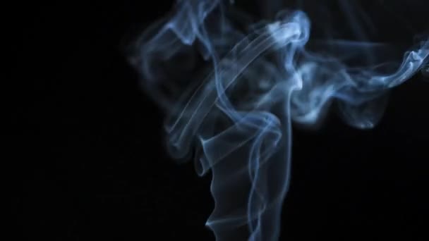 Fumée Abstraite Monte Dans Beaux Tourbillons Sur Fond Noir — Video
