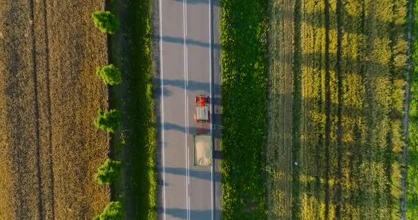 Top View Road Tractor Driving Sunset Sides Road Fields Harvest — Video