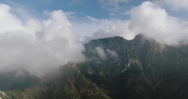 Yazın güzel dağ manzarası, orman ve kayalar. Bulutların arasında uçuyor. Zakopane, Tatra dağları, Polonya