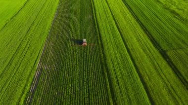 Tractor sprays fertilizer on agricultural plants on the rapeseed field, top view from height