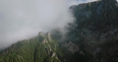 Yazın güzel dağ manzarası, orman ve kayalar. Bulutların arasında uçuyor. Zakopane, Tatra dağları, Polonya