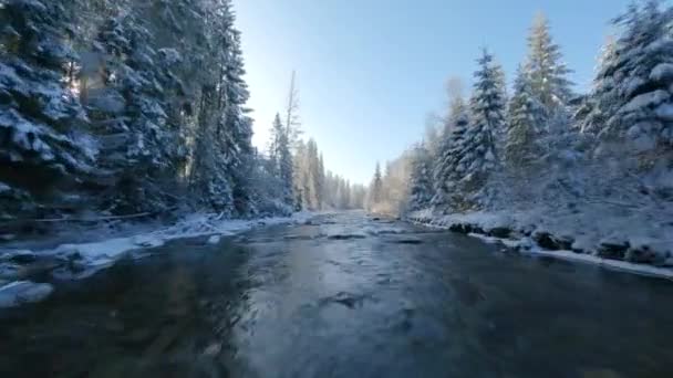 Fast Flight Mountain River Surrounded Snow Covered Forest Fairy Winter — Stockvideo