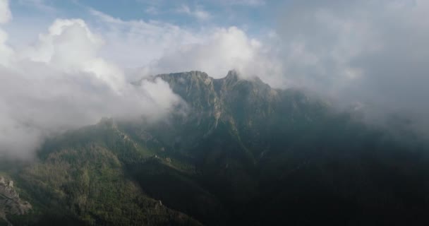 Uitzicht Vanuit Lucht Het Prachtige Berglandschap Zomer Bos Rotsen Vliegen — Stockvideo