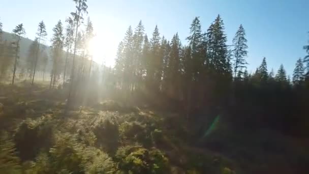 Rychlý Let Nad Podzimní Horskou Krajinou Potok Stromy Při Východu — Stock video