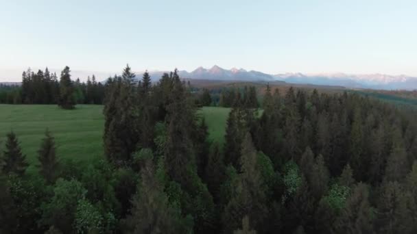 Aerial View Summer Mountain Landscape Rocky Peaks Background Tatra Mountains — 图库视频影像