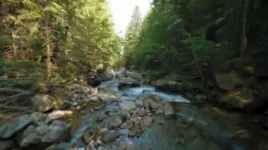 Fast flight over a mountain river flowing among large stones and surrounded by trees on the banks. Tatra Mountains, Slovakia. POV filmed with FPV drone.