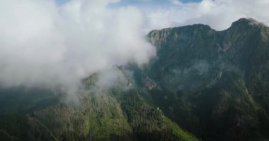 Yazın güzel dağ manzarası, orman ve kayalar. Bulutların arasında uçuyor. Zakopane, Tatra dağları, Polonya