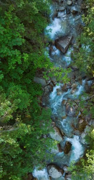 Vertical Video Top View Mountain River Flowing Large Stones Surrounded — Stock Video