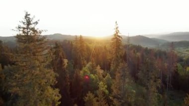 Aerial view of a summer mountain landscape at sunset with rocky peaks on the background. Tatra Mountains, Poland