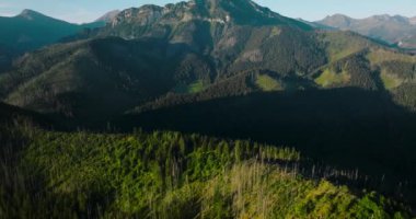 Aerial view of beautiful mountain landscape in summer, forest and rocks. Zakopane, Tatra mountains, Poland