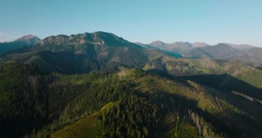 Aerial view of beautiful mountain landscape in summer, forest and rocks. Zakopane, Tatra mountains, Poland