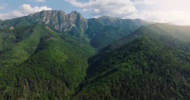 Aerial view of beautiful mountain landscape in summer, forest and rocks. Zakopane, Tatra mountains, Poland