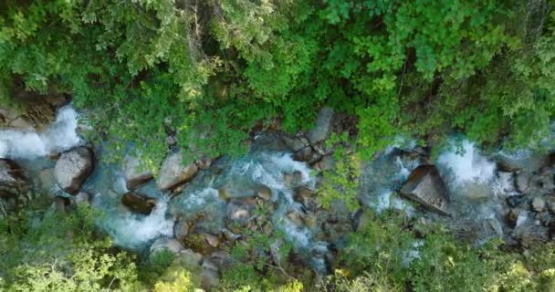 Góra Dół Zobaczyć Górską Rzekę Płynącą Wśród Dużych Kamieni Otoczony — Wideo stockowe