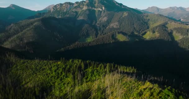 Αεροφωτογραφία Του Όμορφου Ορεινού Τοπίου Καλοκαίρι Δάσος Και Βράχια Zakopane — Αρχείο Βίντεο