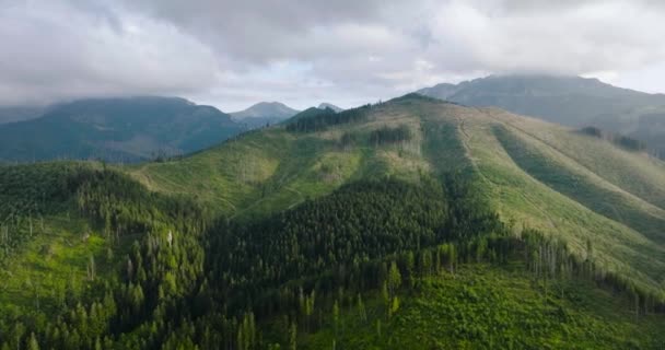 Luchtfoto Van Het Prachtige Berglandschap Zomer Bewolkte Lucht Bos Rotsen — Stockvideo