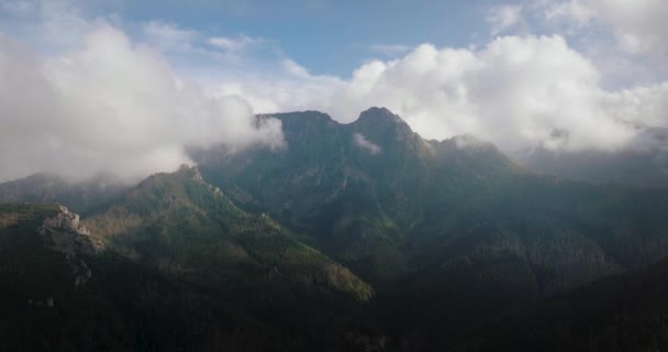 Aerial View Beautiful Mountain Landscape Summer Forest Rocks Zakopane Tatra — Vídeos de Stock
