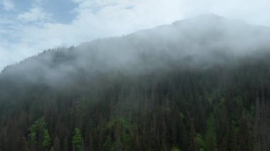 Aerial view of a summer rocky mountain landscape. Flying through the clouds, close to the mountains. High Tatras, Slovakia