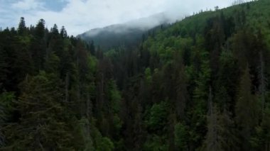 Aerial view of a summer rocky mountain landscape. Flying through the clouds, close to the mountains. High Tatras, Slovakia