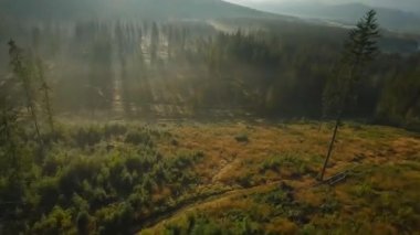 Gündoğumunda bir sonbahar dağ manzarasının üzerinden hızlı bir uçuş. Tatra Dağları, Polonya. POV FPV insansız hava aracı ile filme alındı.