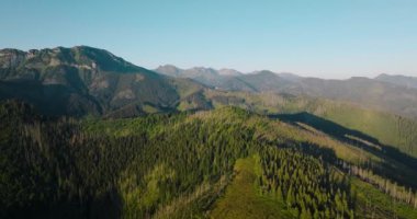 Aerial view of beautiful mountain landscape in summer, forest and rocks. Zakopane, Tatra mountains, Poland
