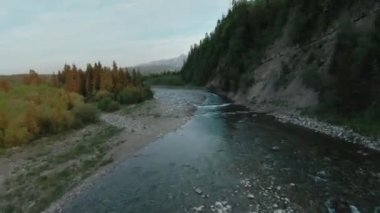 Yeşil vadide akan dere ya da nehrin havadan görünüşü. Yaz gününde güzel yüksek dağlar. Destansı sinematik görüntüler, dağlık manzaralar. Tatra Dağları, Polonya. POV FPV insansız hava aracı ile filme alındı