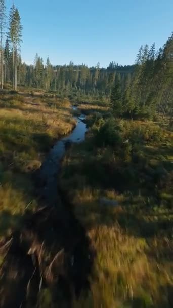 Verticale Video Snelle Vlucht Een Herfst Berglandschap Beek Bomen Bij — Stockvideo