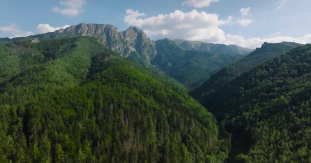 Αεροφωτογραφία Του Όμορφου Ορεινού Τοπίου Καλοκαίρι Δάσος Και Βράχια Zakopane — Αρχείο Βίντεο