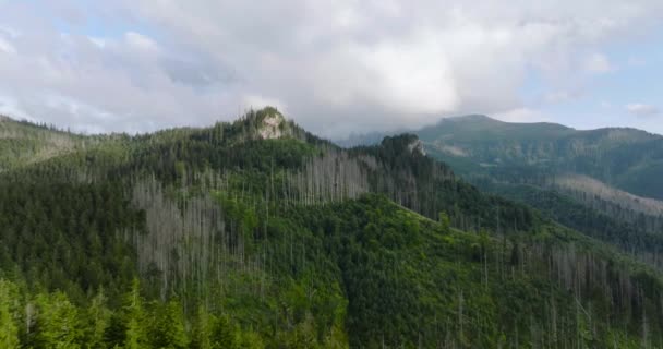 夏天空中俯瞰美丽的山景 多云的天空 森林和岩石 波兰Tatra山区Zakopane — 图库视频影像
