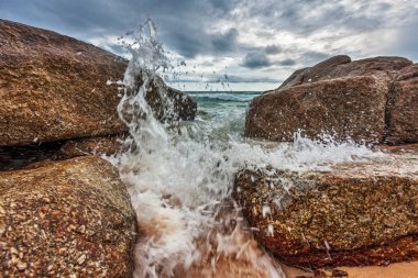 karanlık gökyüzü altında tropik sahil