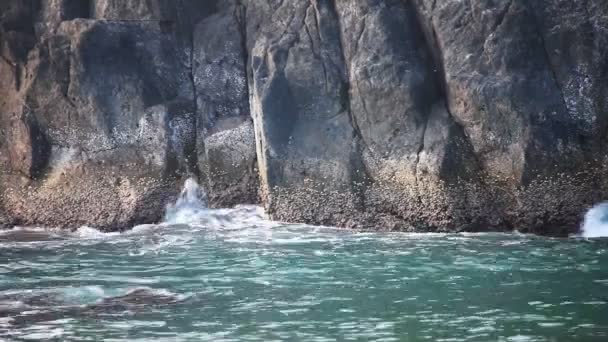 Vagues de mer brisant sur les rochers — Video