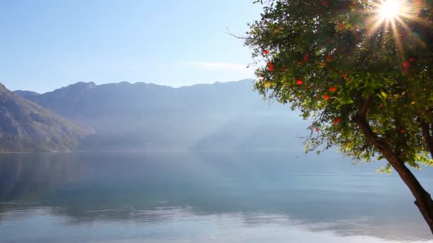 Beach with sea and foggy mountains — Stock Video